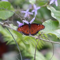 IMG_3137.JPG