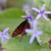 IMG_3141.JPG
