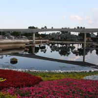 IMG_3151.JPG