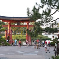 IMG_3154.JPG