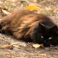 IMG_2792.jpg