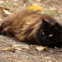IMG_2793.jpg